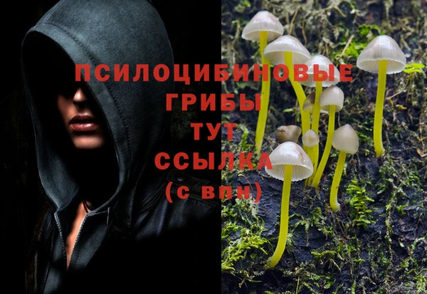 гидропоника Армянск