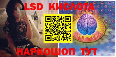 ALPHA PVP Аргун