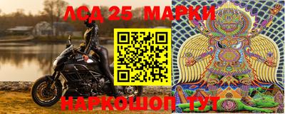 ALPHA PVP Аргун