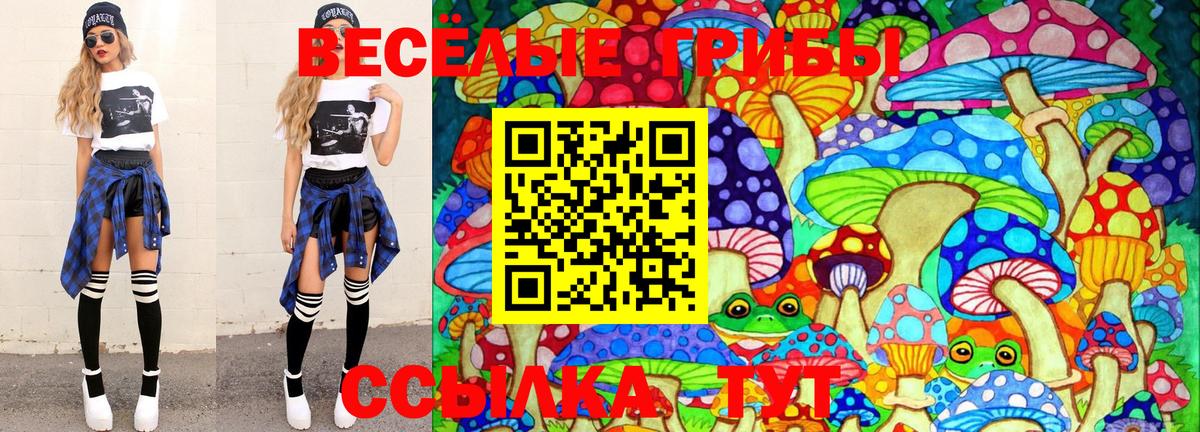 Галлюциногенные грибы MAGIC MUSHROOMS  Асино 