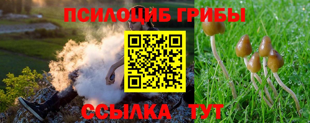 Галлюциногенные грибы мицелий Асино