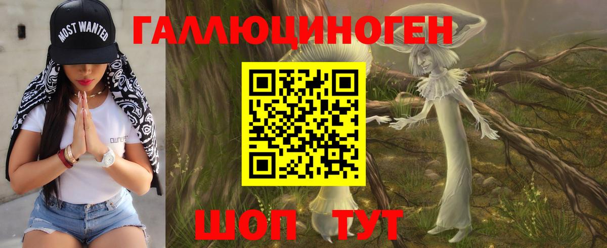 Асино  Галлюциногенные грибы GOLDEN TEACHER  Галлюциногенные грибы мицелий  Вход с VPN 