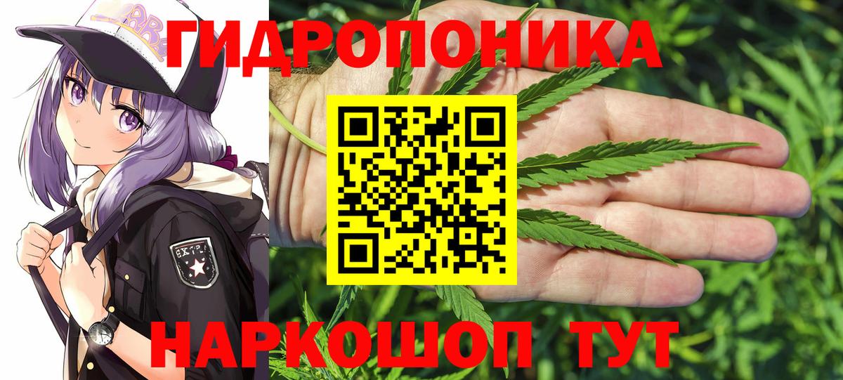 Бошки марихуана конопля  Вход с VPN  Асино  Бошки марихуана MAZAR 